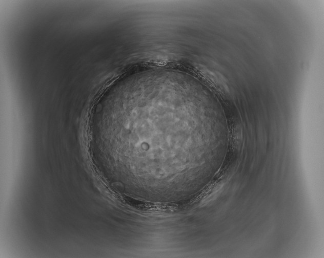 X0000115331105200911091239
