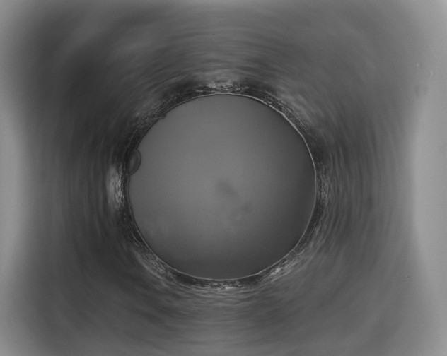 X0000115331106200911091239
