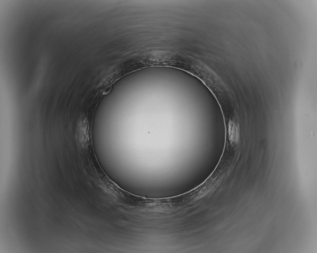 X0000115331107200911091239