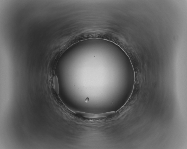X0000115331109200911091239