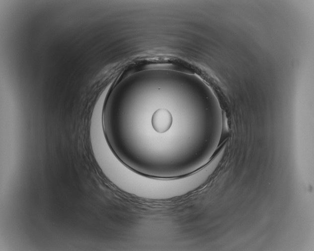 X0000115331110200911091239