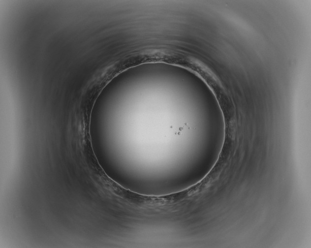 X0000115331111200911091239