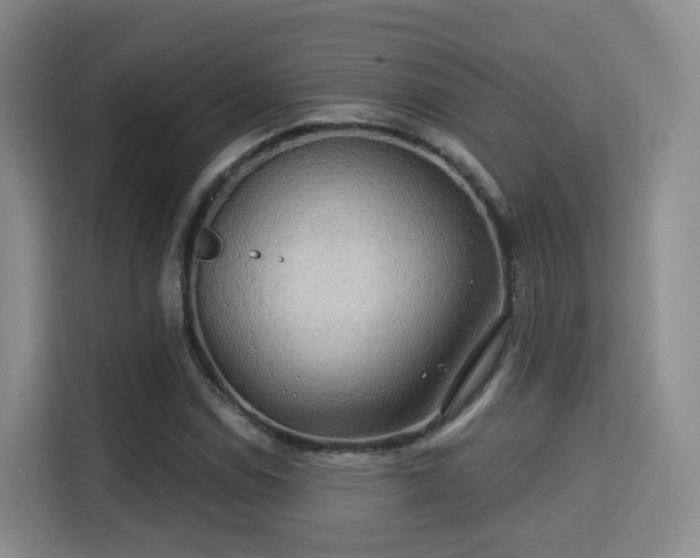 X0000115331114200911091239