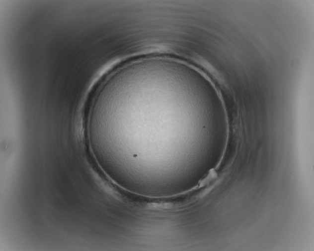 X0000115331118200911091239
