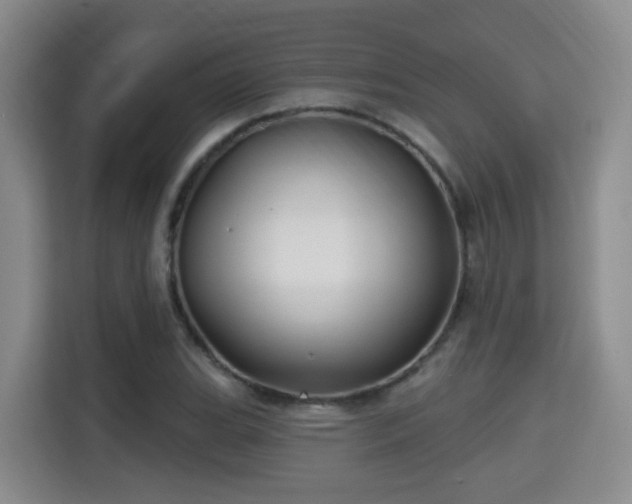 X0000115331119200911091239