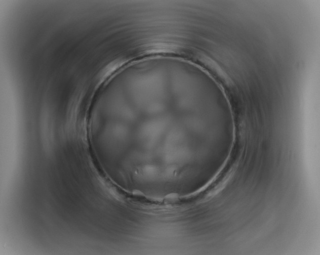 X0000115331121200911091239