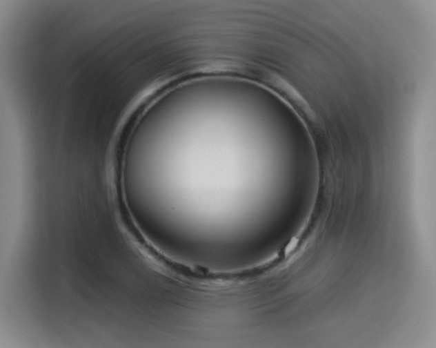 X0000115331122200911091239
