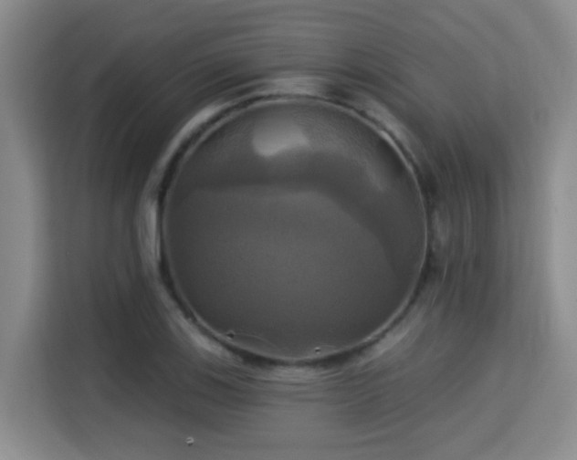 X0000115331123200911091239