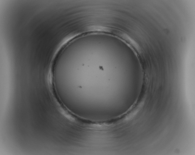 X0000115331125200911091239