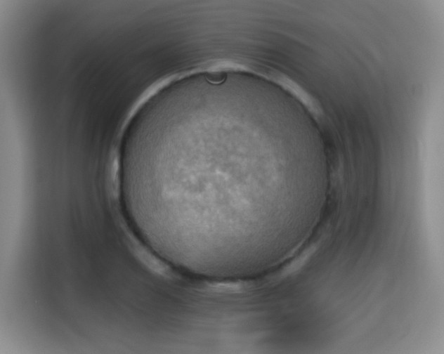 X0000115331126200911091239