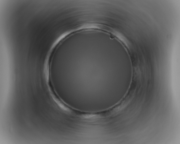 X0000115331127200911091240
