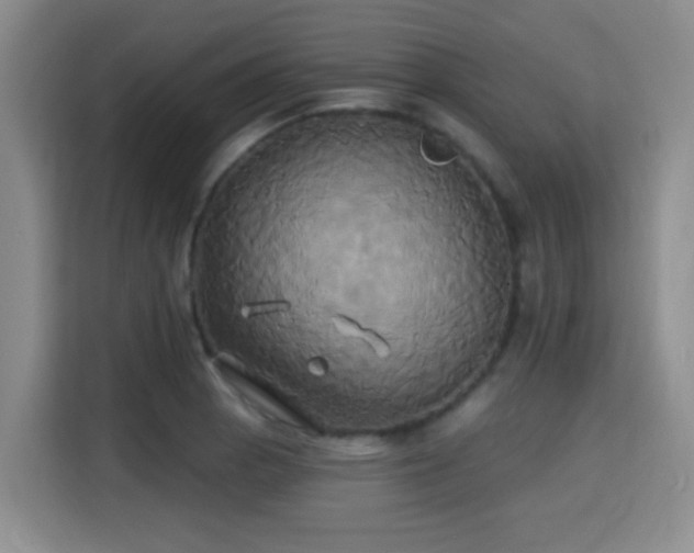 X0000115331129200911091240