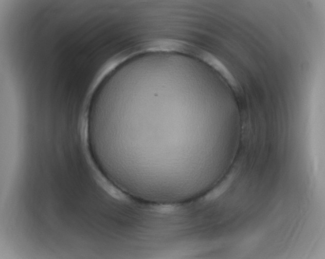 X0000115331130200911091240