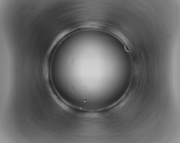 X0000115331131200911091240