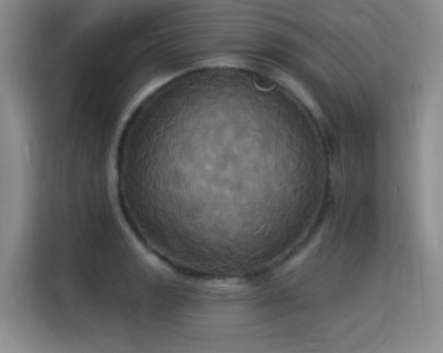 X0000115331133200911091240