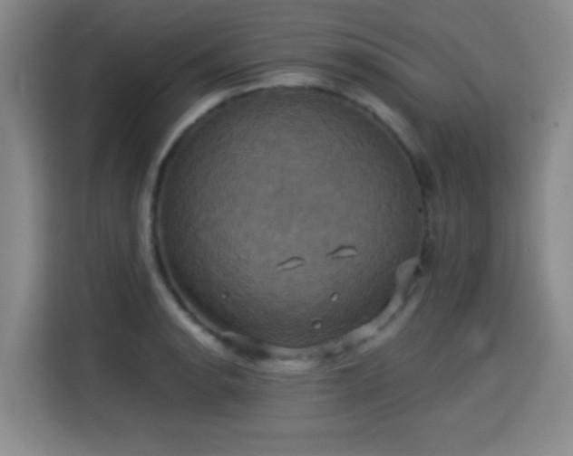 X0000115331134200911091240