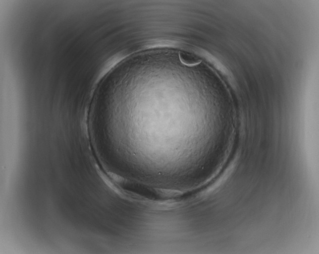 X0000115331137200911091240
