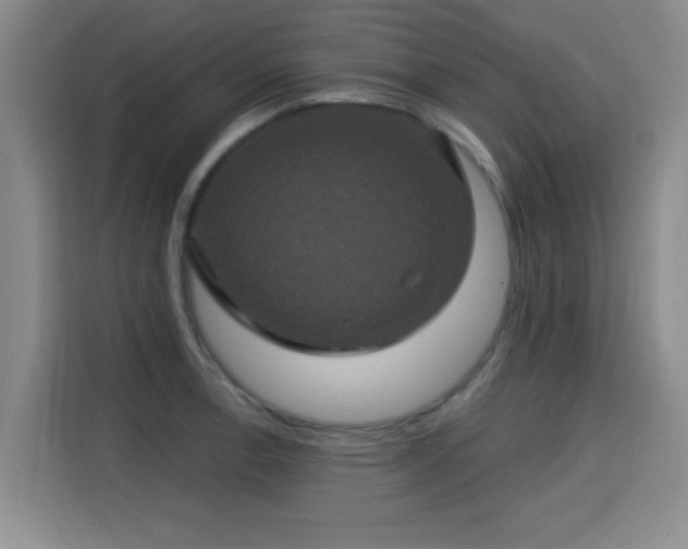 X0000115331138200911091240