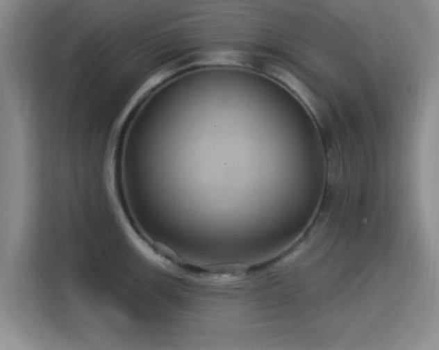 X0000115331139200911091240