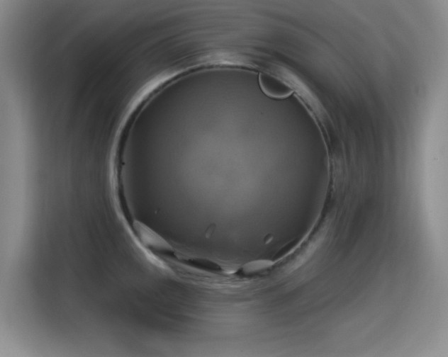 X0000115331141200911091240