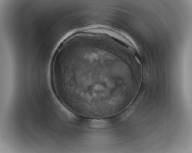 X0000115331142200911091240