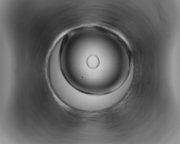 X0000115331143200911091240