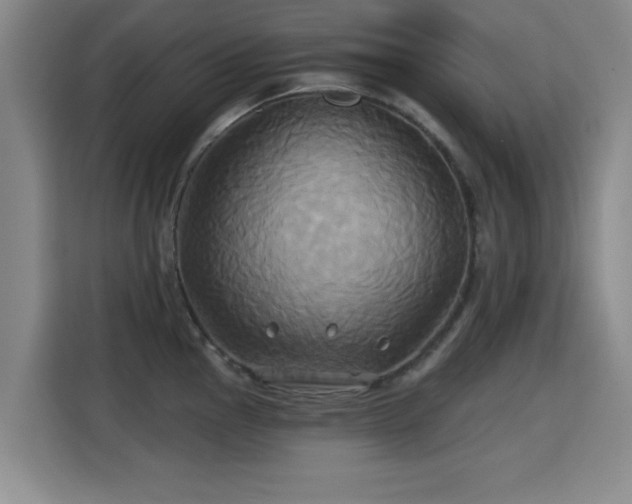 X0000115331145200911091240