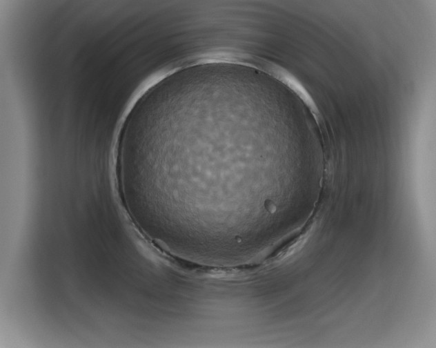 X0000115331146200911091240