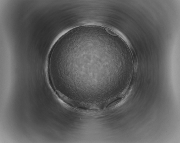 X0000115331149200911091240