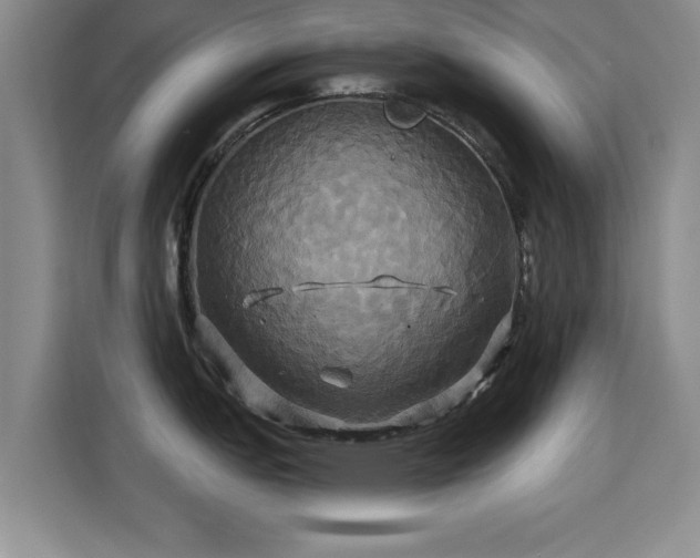 X0000115331151200911091240