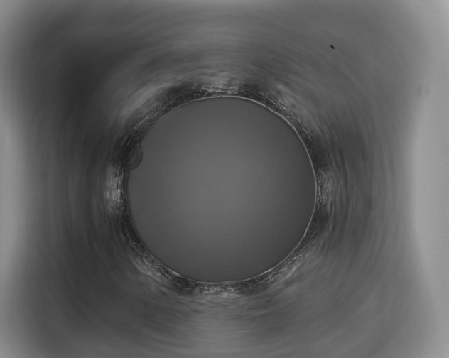 X0000115331154200911091239