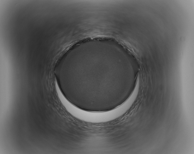 X0000115331157200911091239