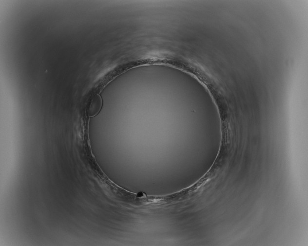 X0000115331158200911091239