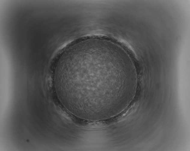 X0000115331159200911091239