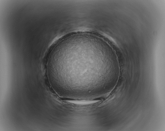 X0000115331160200911091239