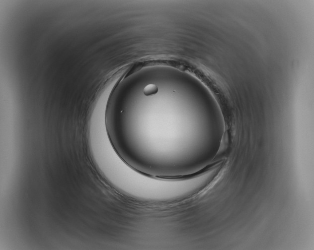 X0000115331161200911091239