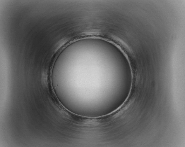 X0000115331162200911091239