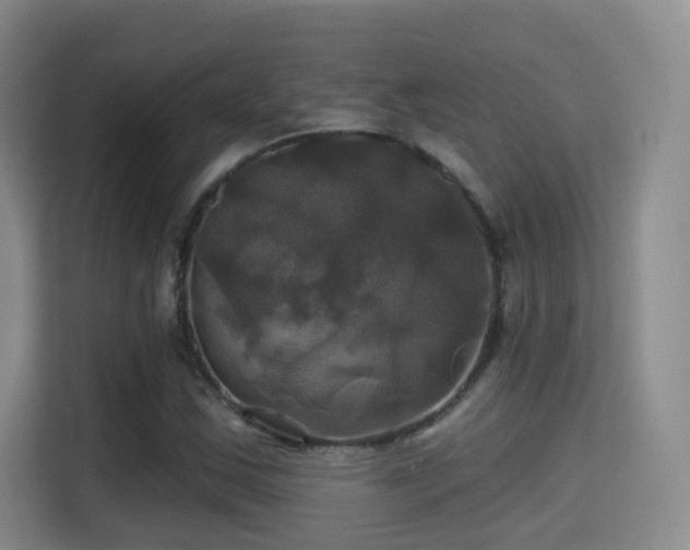 X0000115331163200911091239