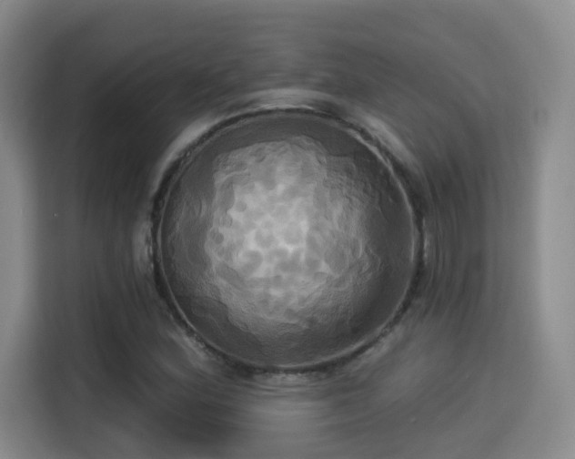 X0000115331164200911091239