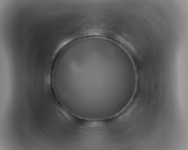 X0000115331166200911091239