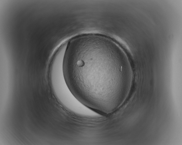 X0000115331167200911091239