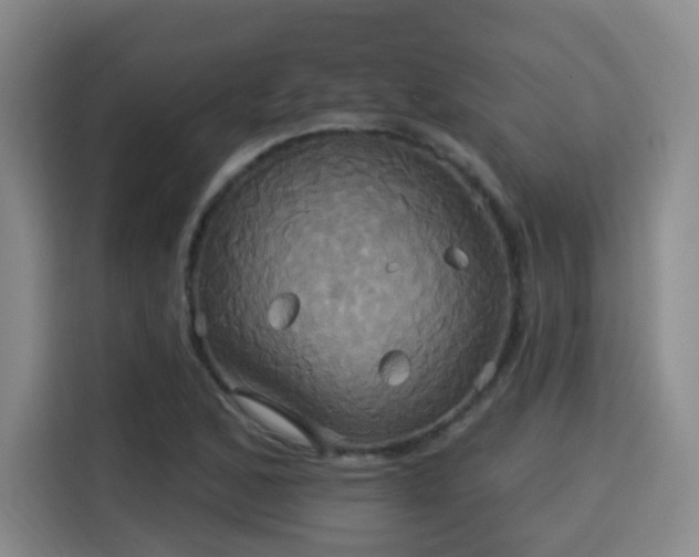 X0000115331168200911091239