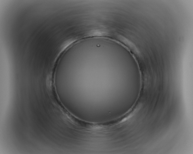X0000115331170200911091239