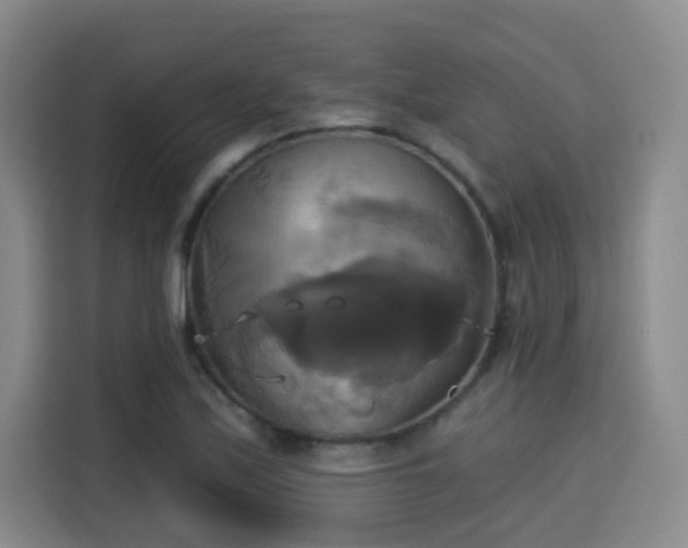 X0000115331171200911091239
