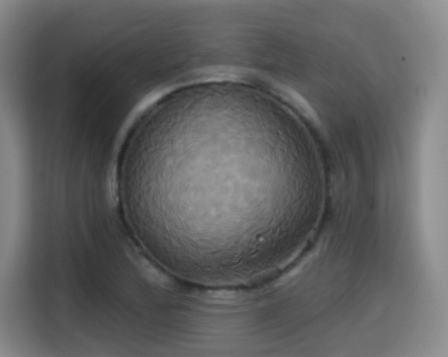 X0000115331172200911091239