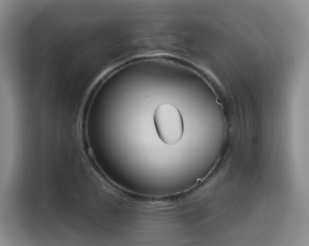 X0000115331173200911091239