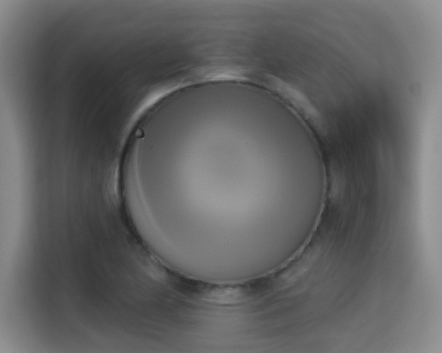 X0000115331174200911091239