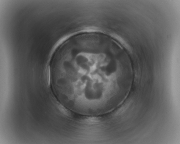 X0000115331175200911091239