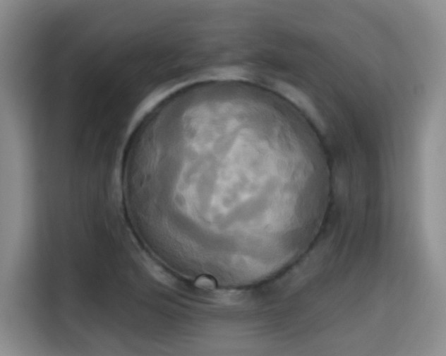 X0000115331176200911091239