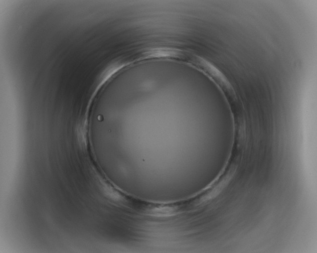 X0000115331178200911091239
